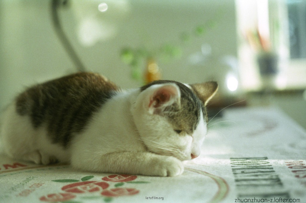 FUJI C200 10