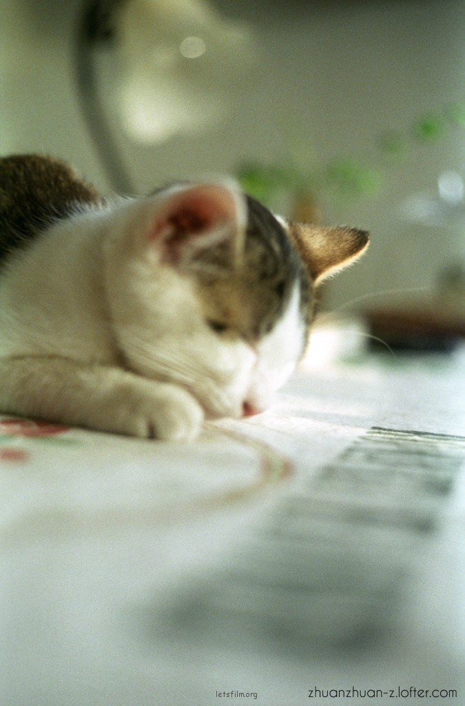 FUJI C200 11
