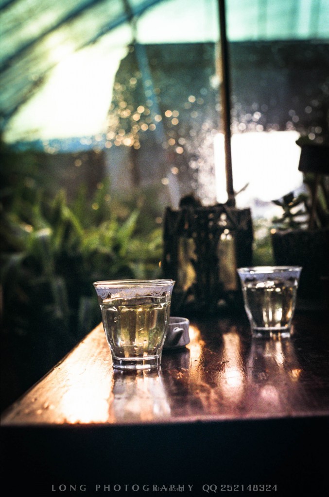 FUJI SUPERIA 200 14
