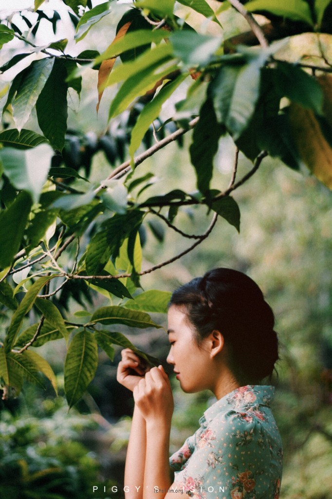 若是情未冻