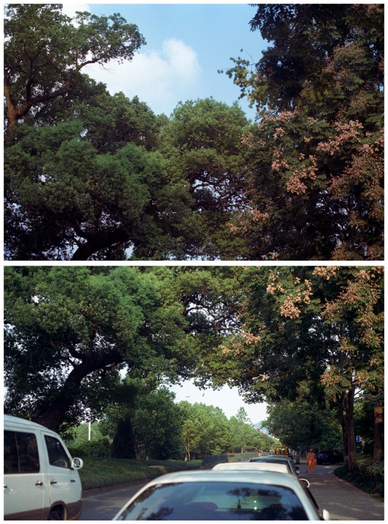 NeoImage_副本