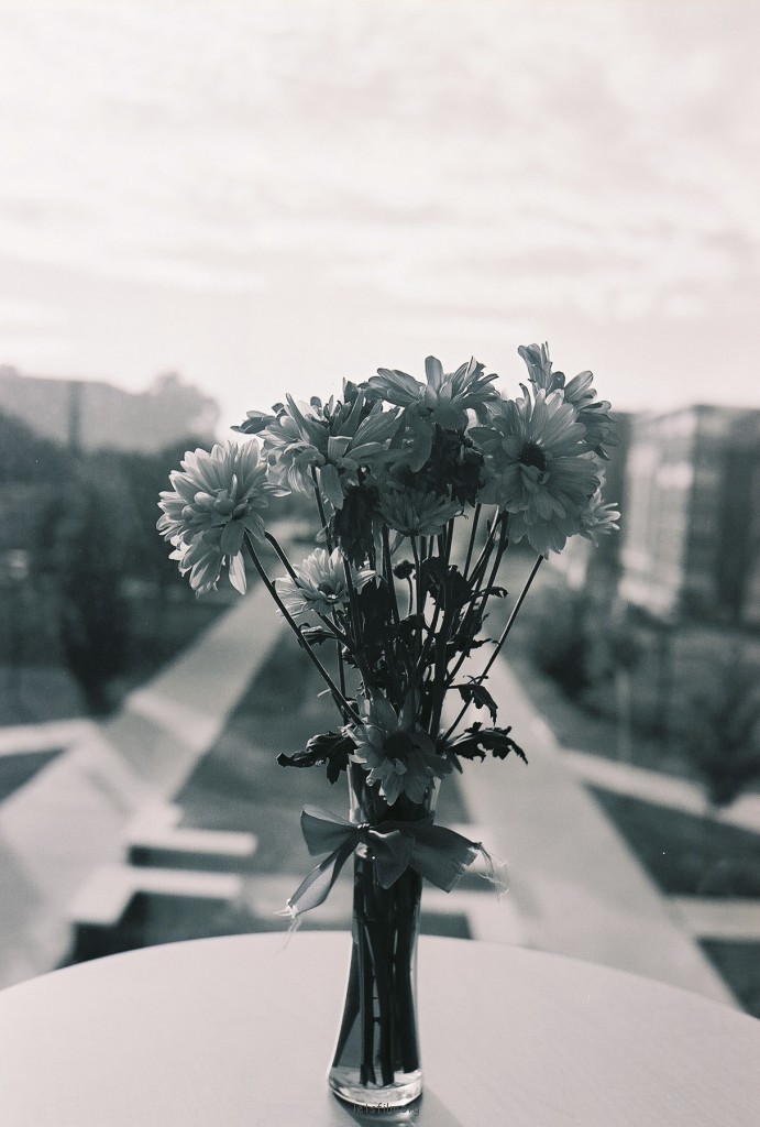 IIFORD HP5 PLUS