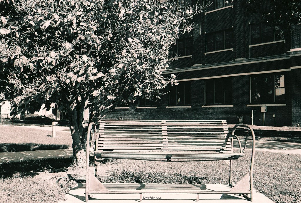 IIFORD HP5 PLUS