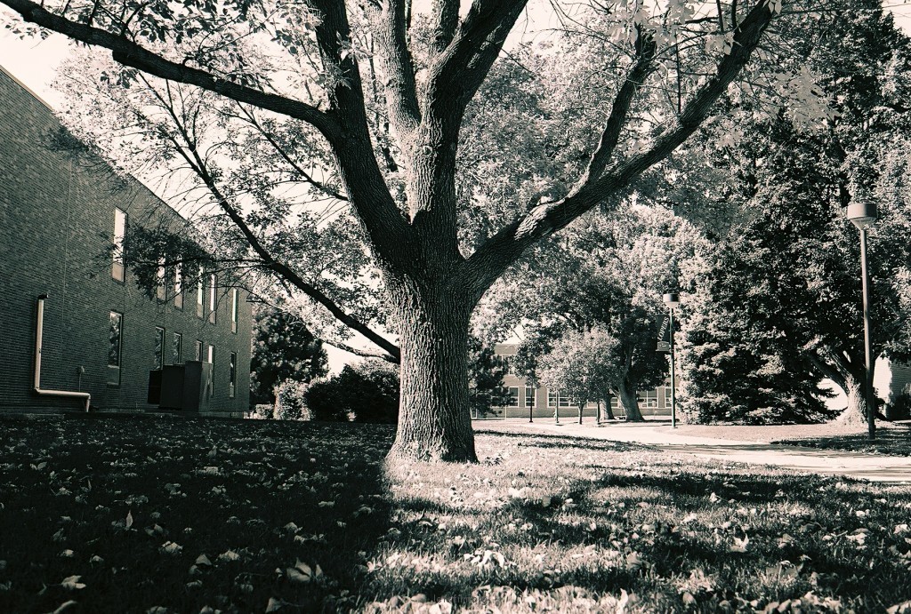IIFORD HP5 PLUS