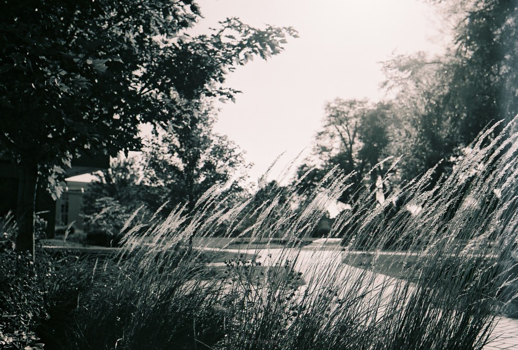 IIFORD HP5 PLUS