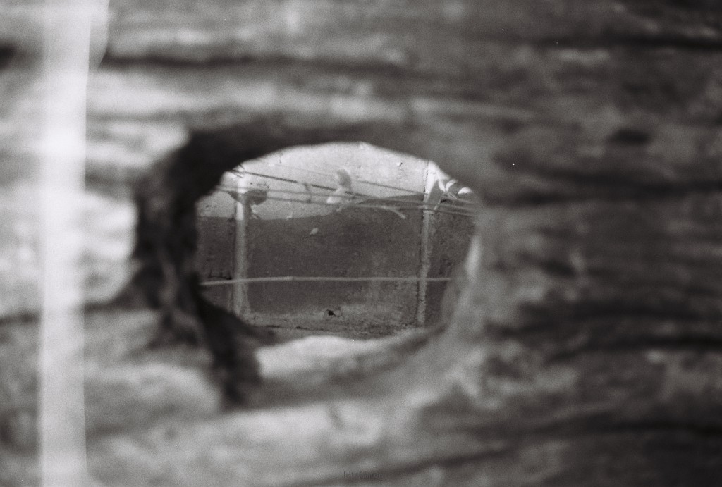 R1-12