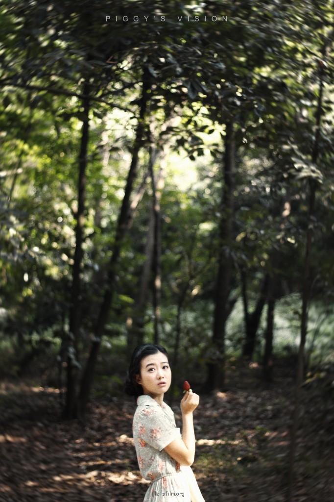 若是情未冻