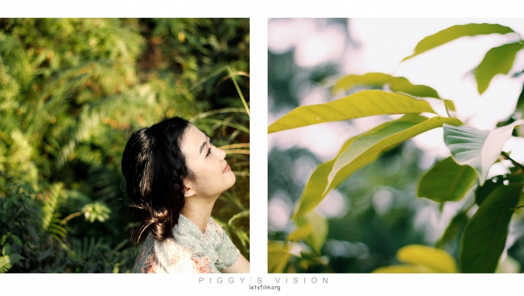 若是情未冻