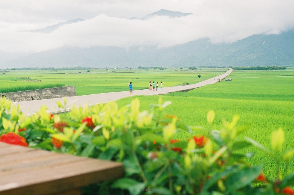 池上伯朗大道，一个半小时的骑行距离