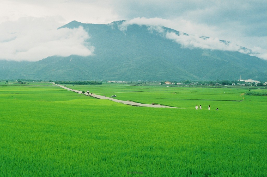 池上伯朗大道，一个半小时的骑行距离