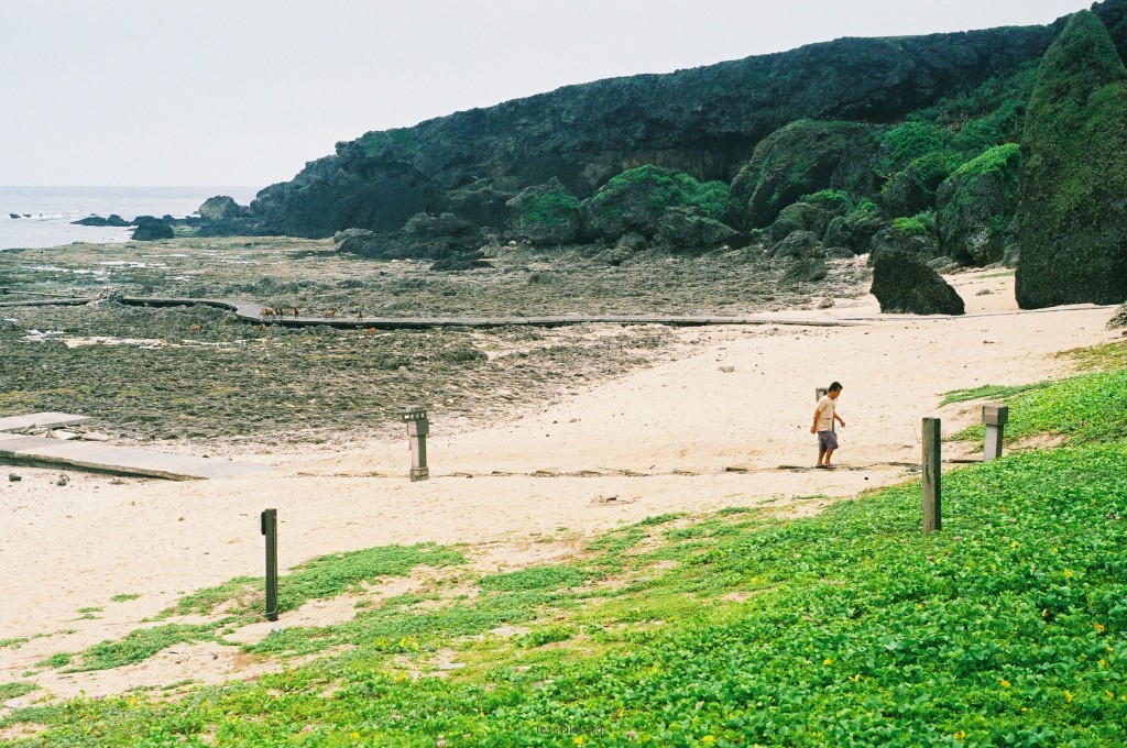 环骑绿岛，陆蟹出没
