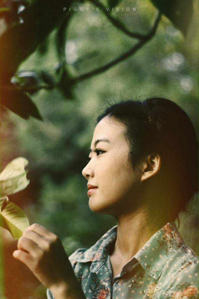 若是情未冻