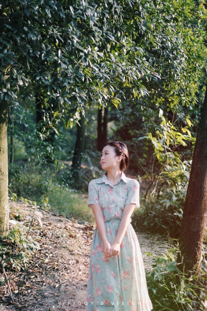 若是情未冻
