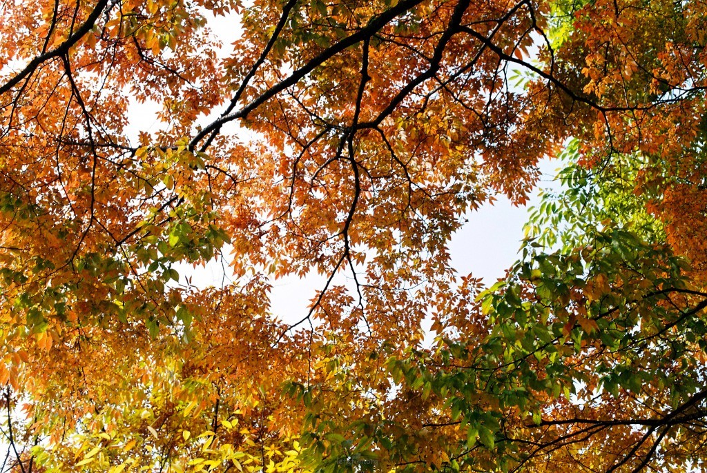 000014