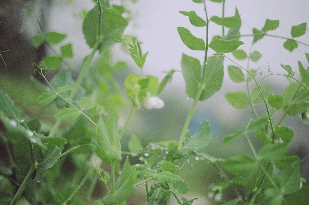 20110600010