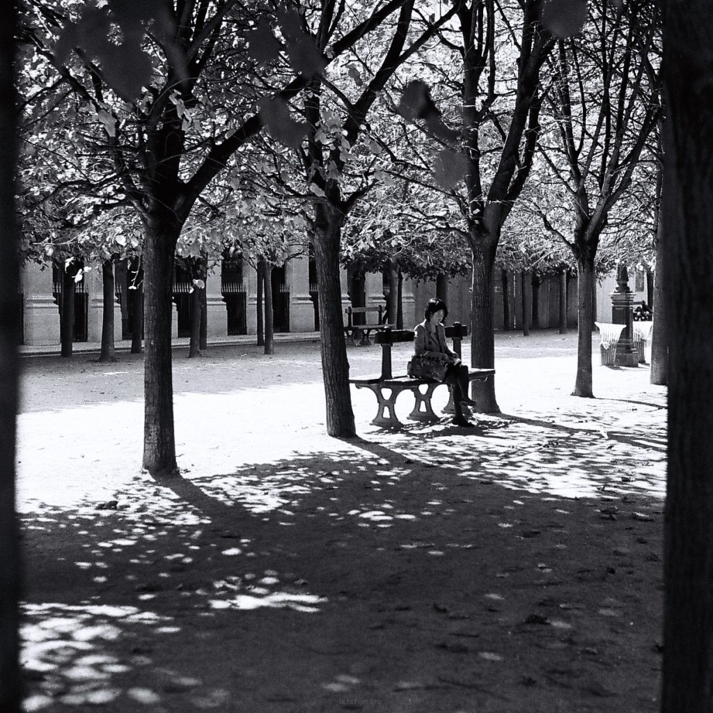 Royal Garden