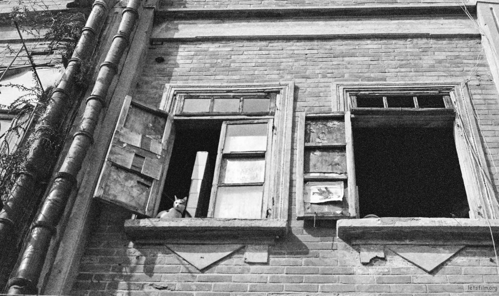 000038