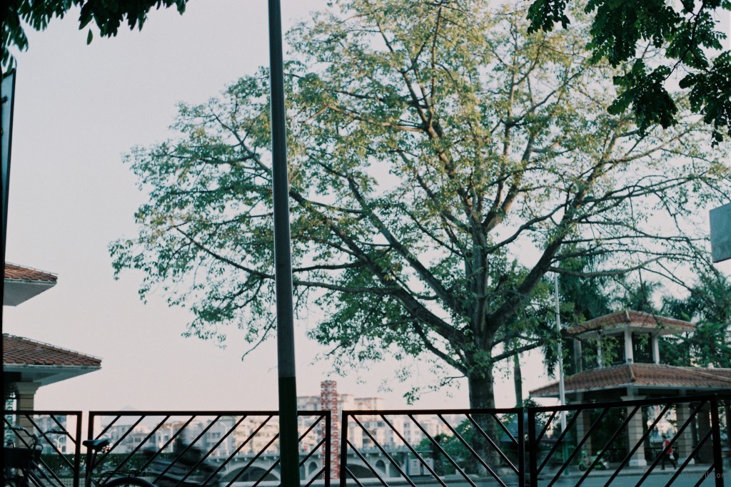 000047