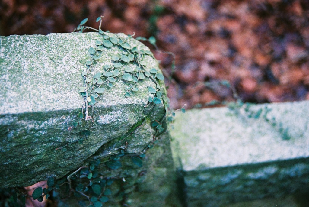 20120217-000048
