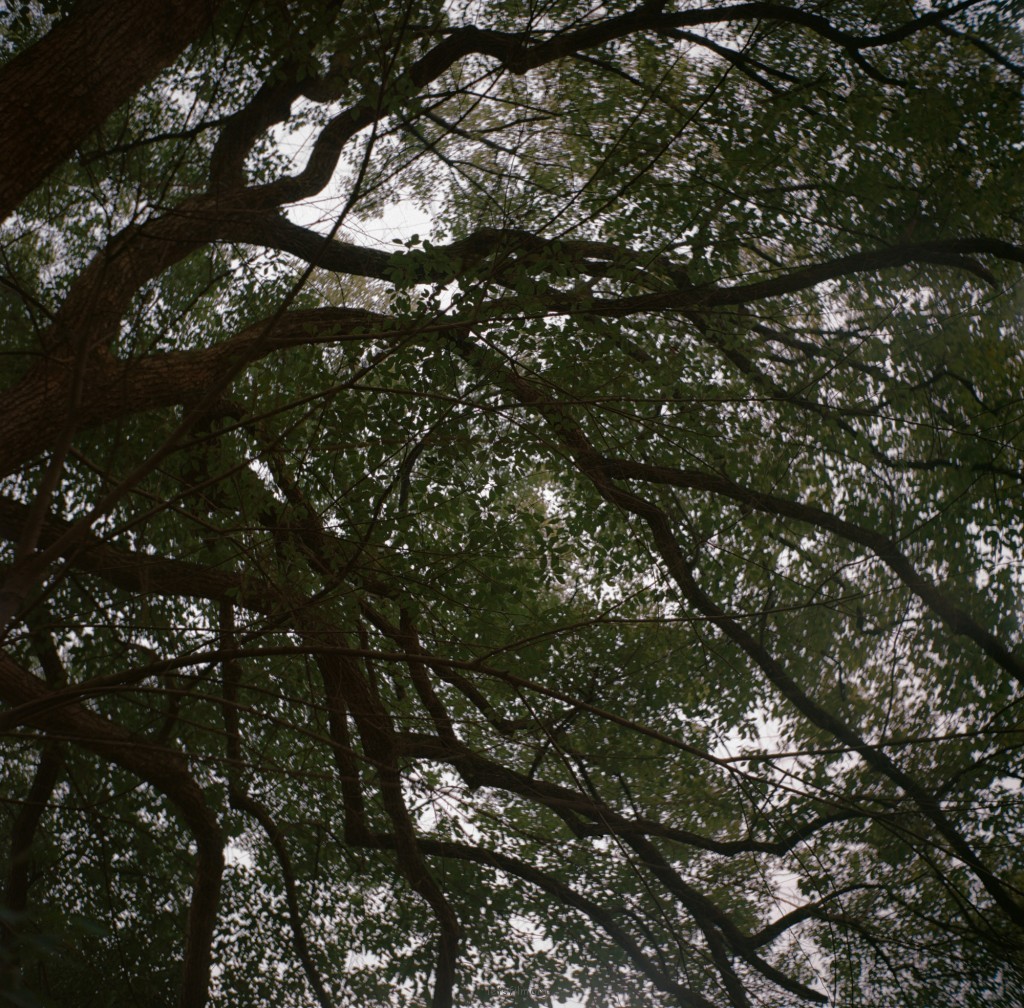 20120220-未标题-6a