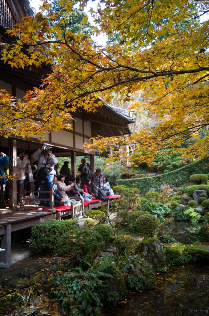 京都　三千院　RICOH GXR MOUNT A12　LEICA SUPER-ANGULON 21/4