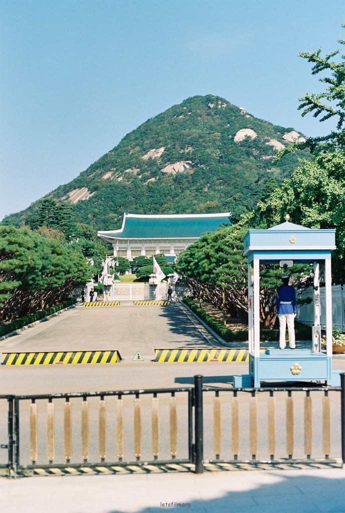青瓦台前