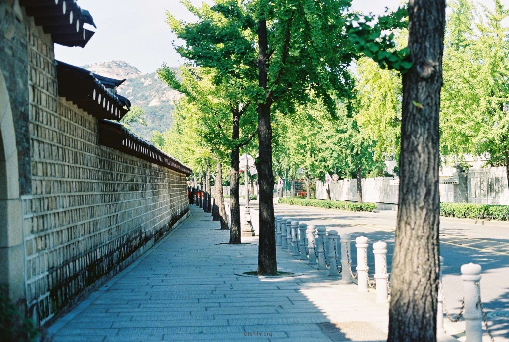 青瓦台旁小路