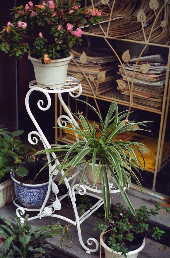 IMG-5000-41823-135