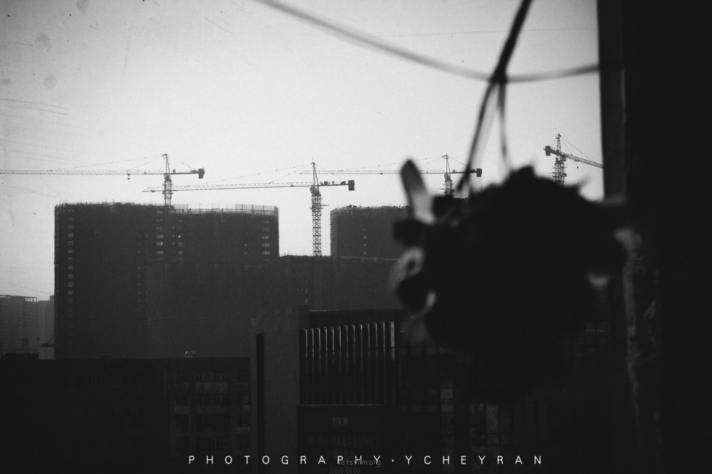 IMG_3318