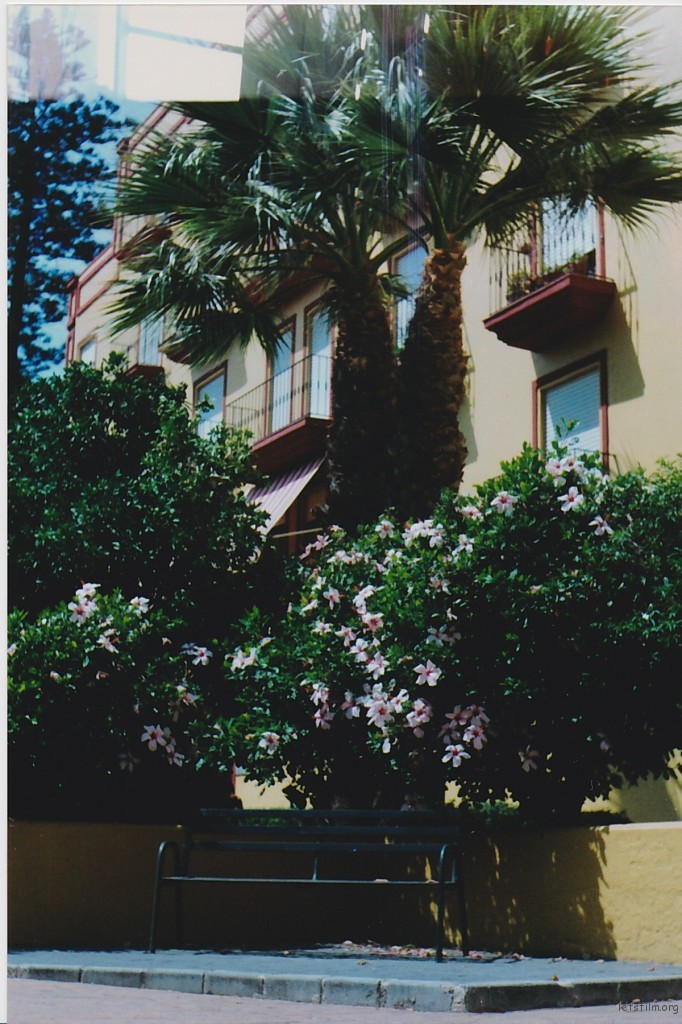 SCN_0006