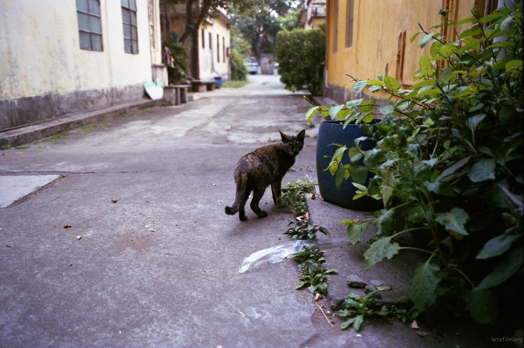 img012