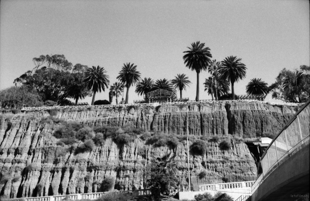 santa monica cliff- nicole
