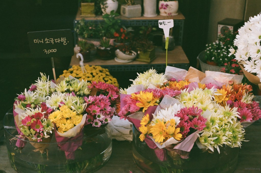 三清洞花店
