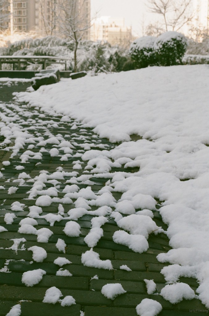 2012年雪