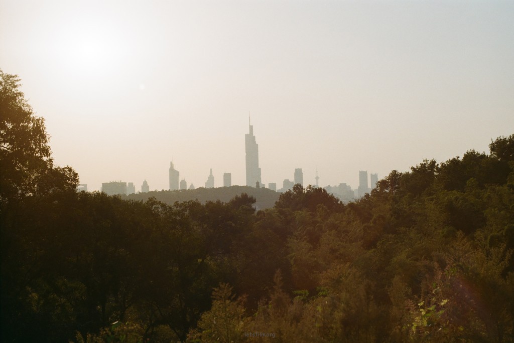 未标题-19