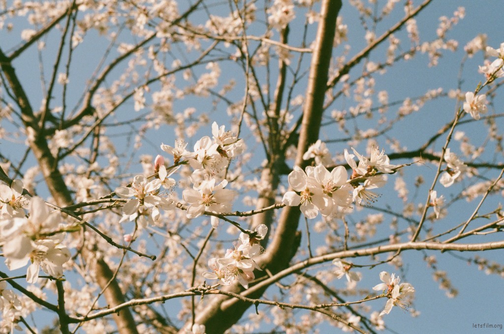 春意