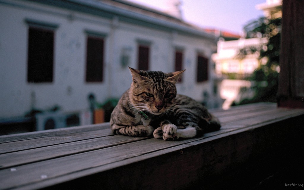 厦门鼓浪屿 它的城 photo by leica M6+SUMMARON 35/2.8