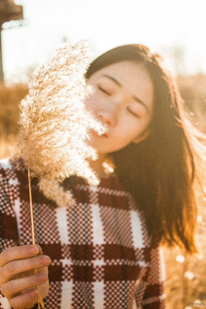 _MG_8256