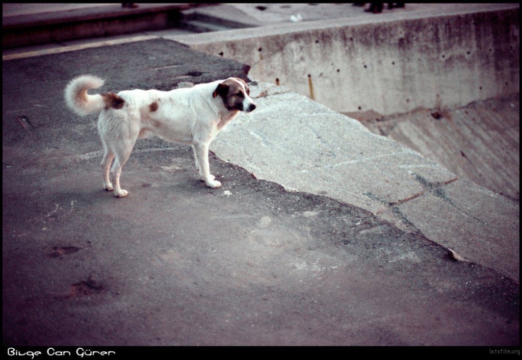 by Dredged