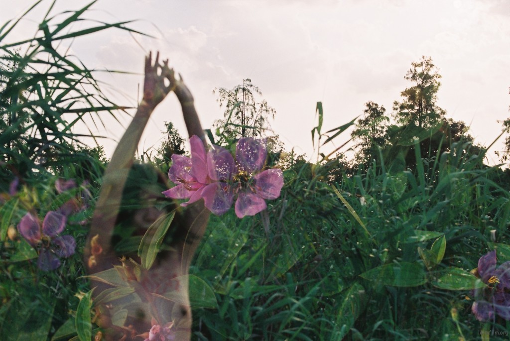花丛