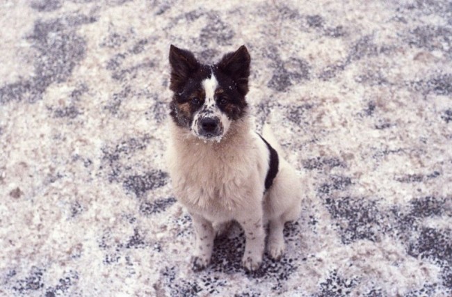 相机：Praktica BC1 镜头：原配 胶卷：Ultramax 400
