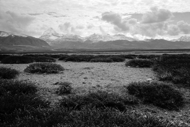 20150731-4 007_1