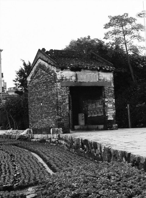桌面6