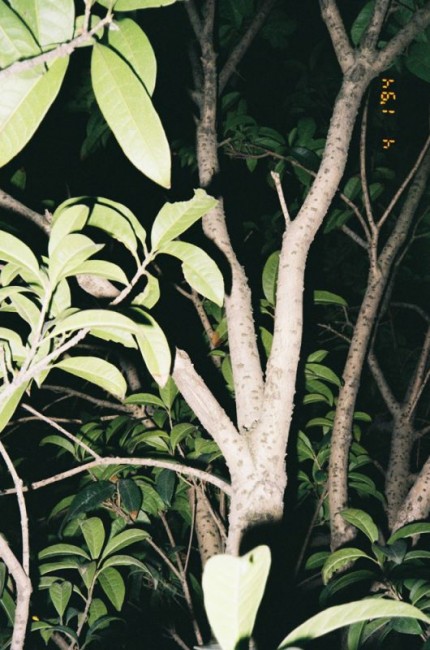 000012副本