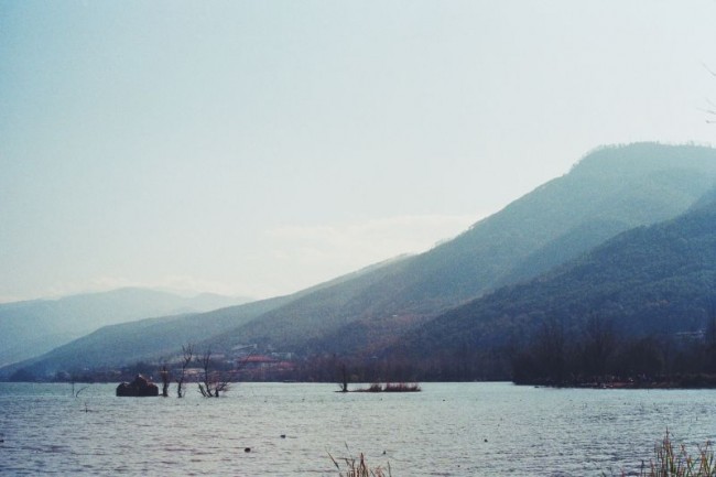 11.pic_hd