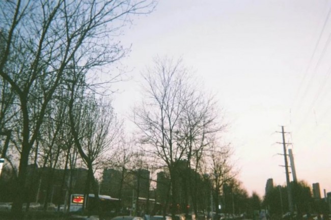 640.webp (2)