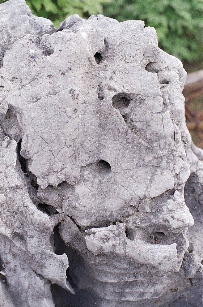 Image 33
