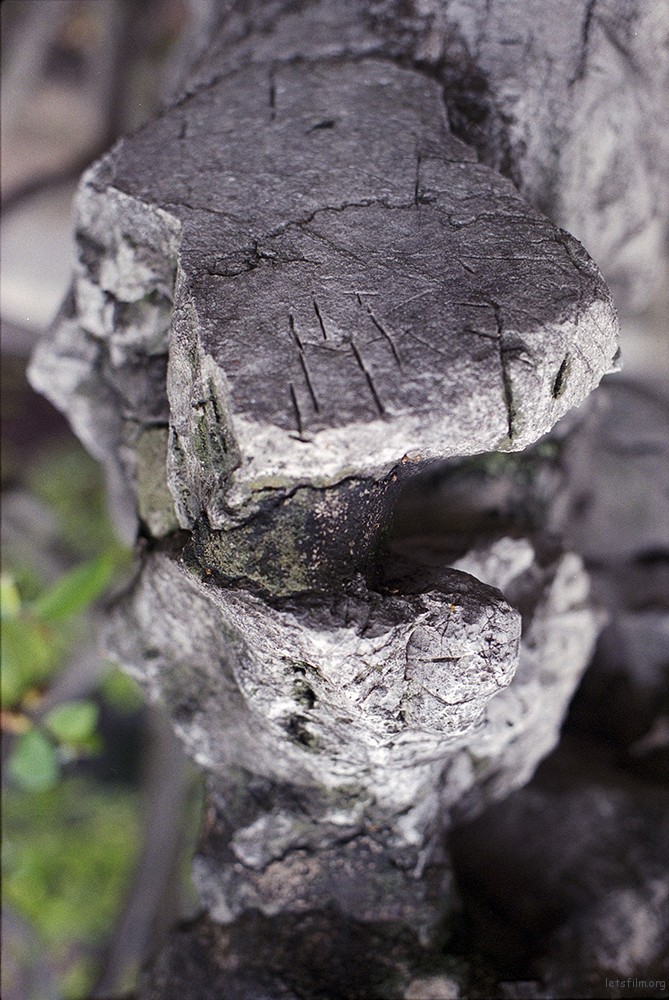 Image110 (3)
