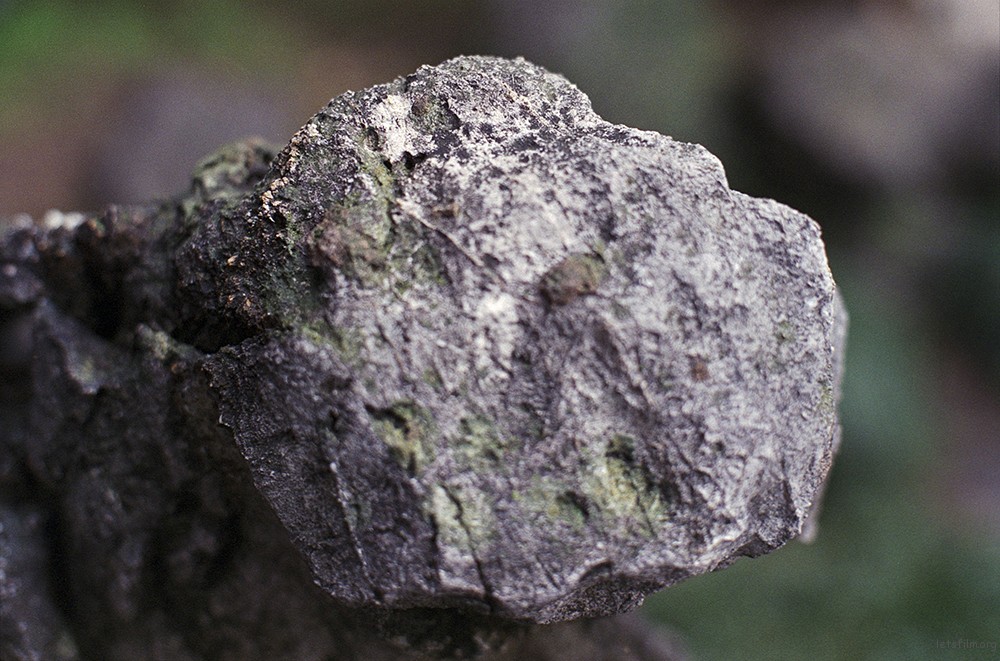 Image125 (2)
