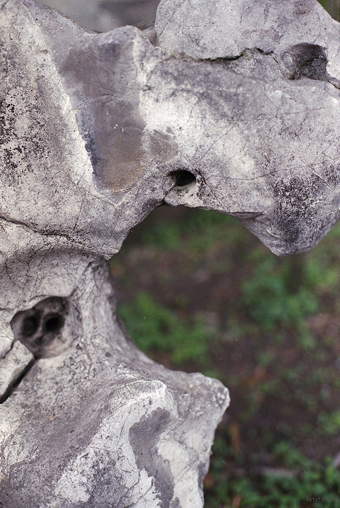 Image127